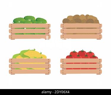 Verdure in scatole di legno, isolate su sfondo bianco. Pomodori, patate, mais e cetrioli. Illustrazione di cibo organico. Illustrazione Vettoriale