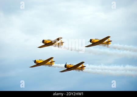 Il Canadian Harvard Aerobatic Team, in volo al North American Aviation T-6 Texan, un allenatore della seconda guerra mondiale conosciuto come "Harvard" in Canada. Foto Stock