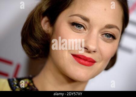 Marion Cotillard partecipa alla proiezione di 'Two Days, One Night' durante l'AFI FEST 2014 presentata da Audi al Teatro Egiziano di Los Angeles, CA, USA il 7 novembre 2014. Foto di Lionel Hahn/ABACAPRESS.COM Foto Stock