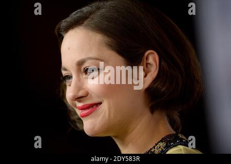 Marion Cotillard partecipa alla proiezione di 'Two Days, One Night' durante l'AFI FEST 2014 presentata da Audi al Teatro Egiziano di Los Angeles, CA, USA il 7 novembre 2014. Foto di Lionel Hahn/ABACAPRESS.COM Foto Stock