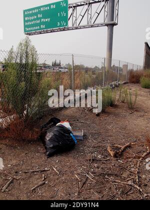 La lettiera si accumula lungo la superstrada 880 durante la pandemia di covidi del 2020 a Union City, California Foto Stock