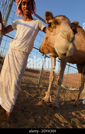 Un beduino Omani con il cammello. Foto Stock