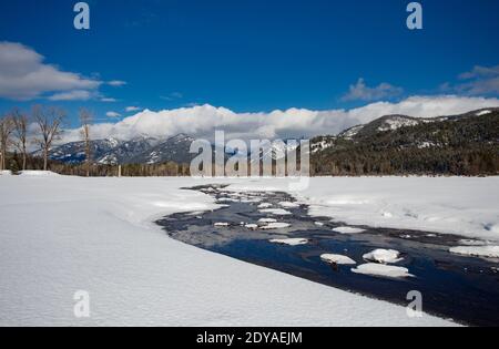 Bull River, avvolgimento a nord, con il Gabinetto Mountain Range in distanza, su un freddo giorno chiaro, nella contea di Sanders, nord-ovest Montana Foto Stock