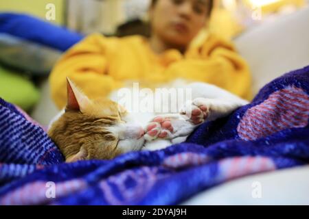 ginger gatto dormire con donna felice momento in inverno Foto Stock