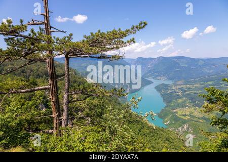 Parco Nazionale Tara, Serbia. Splendido paesaggio del canyon del fiume Drina. Foto Stock