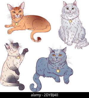 Set di simpatici cuccioli di cartoni animati o gatti con pelliccia e segni di colore diverso in piedi, seduto. Illustrazioni vettoriali isolate su sfondo bianco. Poster Cat. Illustrazione Vettoriale