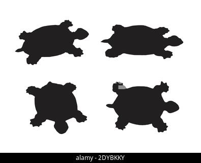 Gruppo vettoriale di tartaruga su sfondo bianco. Illustrazione vettoriale a livelli facilmente modificabile. Animali selvatici. Illustrazione Vettoriale