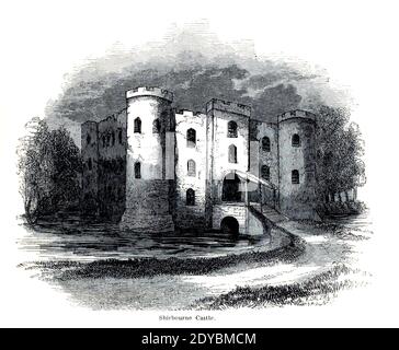 Il castello di Shirbourne (Shirburn) è un castello di grado i, situato nel villaggio di Shirburn, vicino a Watlington, Oxfordshire. Originariamente costruito nel XIV secolo, fu rinnovato e rimodellato in epoca georgiana dal primo conte di Macclesfield che ne fece la sua sede di famiglia, e ulteriormente modificato all'inizio del XIX secolo. Dal libro The Wanderings of a pen and matite di Palmer, F. P. (Francis Paul); Illustrated by Crowquill, Alfred, [Alfred Henry Forrester] pubblicato a Londra da Geremia How nel 1846 Foto Stock