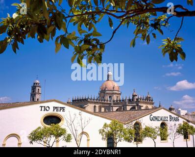 JEREZ DE FRONTERA, SPAGNA-AGOSTO 20, 2010:la Bodegas Tio Pepe di Gonzalez Byass con sullo sfondo la Cattedrale di San Salvador di Jerez de Frontera Foto Stock