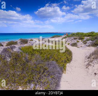 Spiaggia di Baia Verde in Salento, Puglia (Italia). Non è lontano da Gallipoli, si estende per tre chilometri con la sua sabbia bianca e fine. Foto Stock