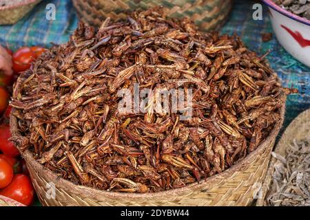 Afferrato fritto asciutto o insetto di locusto su esposizione alla strada Mercato alimentare in Madagascar Foto Stock