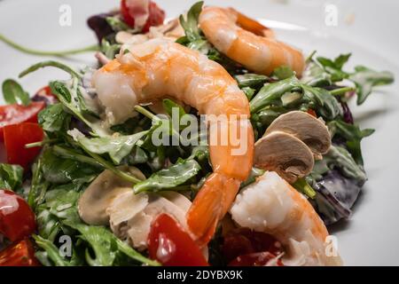 Rucola o insalata di rucola con gamberi o gamberi, pomodoro, funghi Button, servita su un piatto bianco Foto Stock