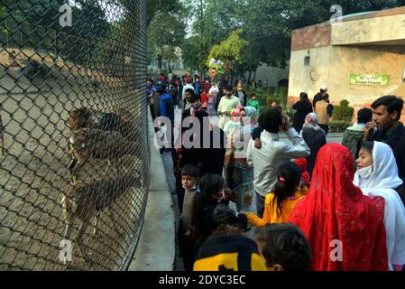 Pakistano un gran numero di Cristiani sta godendo a Lahore Zoo dopo le preghiere di Natale durante le celebrazioni di Natale in Lahore Foto Stock