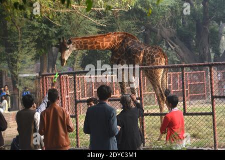 Pakistano un gran numero di Cristiani sta godendo a Lahore Zoo dopo le preghiere di Natale durante le celebrazioni di Natale in Lahore Foto Stock