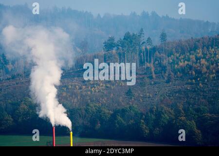 Inquinamento atmosferico. dieback della foresta Foto Stock