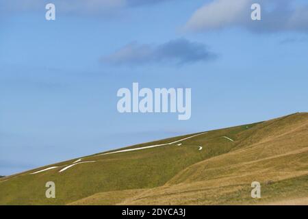 Campagna inglese da White Horse Hill Uffington con disegno di cavalli in collina Foto Stock