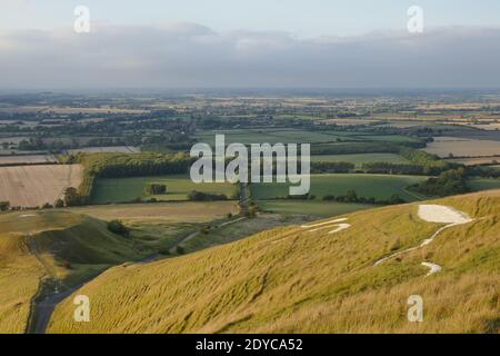 Campagna inglese da White Horse Hill Uffington con disegno di cavalli in collina Foto Stock