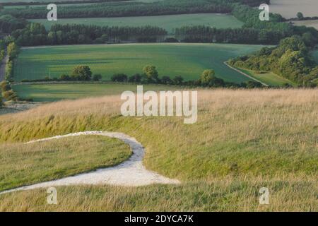 Campagna inglese da White Horse Hill Uffington con disegno di cavalli in collina Foto Stock