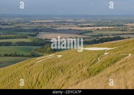 Campagna inglese da White Horse Hill Uffington con disegno di cavalli in collina Foto Stock