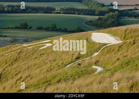 Campagna inglese da White Horse Hill Uffington con disegno di cavalli in collina Foto Stock