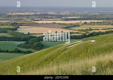 Campagna inglese da White Horse Hill Uffington con disegno di cavalli in collina Foto Stock