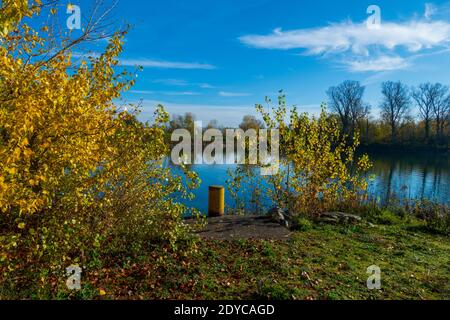 Altrhein, Fluß Rhein bei Iffezheim Foto Stock