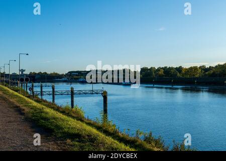 Altrhein, Fluß Rhein bei Iffezheim Foto Stock