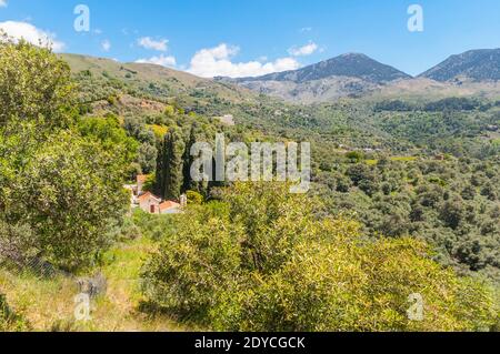 Vista su una valle verde negli altipiani dell'isola greca di Creta. Piccole case bianche in primo piano. I tipici alberi di cipresso alti si trovano in Foto Stock