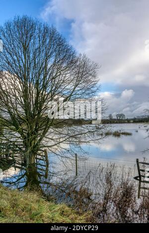 I campi di Norfolk si sono allagati in una bella giornata durante l'inverno. Vicino a Babingley in Norfolk ovest.. Foto Stock