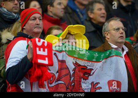 Fan del Galles durante il torneo Rugby RBS 6 Nations , France Vs Wales allo stadio stade France nella periferia di Saint-Denis a Parigi, Francia, il 9 febbraio 2013. Il Galles ha vinto 16-6. Foto di Henri Szwarc/ABACAPRESS.COM Foto Stock