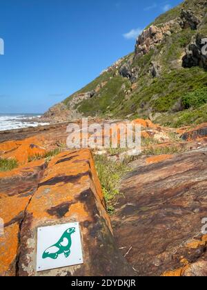 Baia di Plettenberg, Sudafrica – 29 ottobre 2019: Logo che mostra una foca verde lungo il sentiero escursionistico della Riserva Naturale di Robberg, Plettenberg Bay, Sud Africa Foto Stock