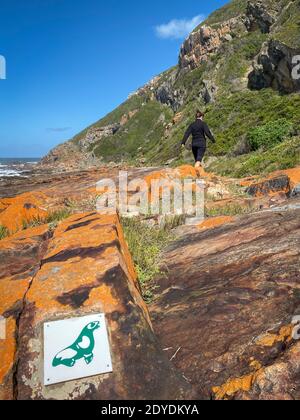 Baia di Plettenberg, Sudafrica – 29 ottobre 2019: Logo che mostra una foca verde lungo il sentiero escursionistico della Riserva Naturale di Robberg, Plettenberg Bay, Sud Africa Foto Stock