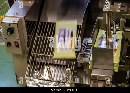 Green Tea Factory a Hamamatsu, Giappone Foto Stock