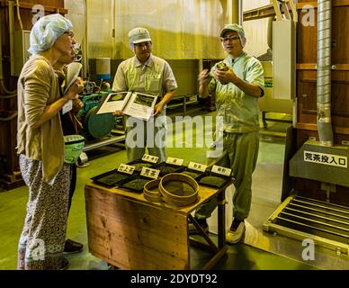 Green Tea Factory a Hamamatsu, Giappone Foto Stock