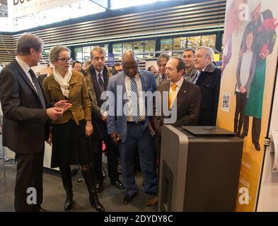 Il ministro dell'ecologia Delphine Batho visita la fiera per l'energia sostenibile durante la sua inaugurazione a Chassieu, vicino a Lione, Francia, il 19 febbraio 2013. Foto di Vincent Dargent/ABACAPRESS.COM Foto Stock