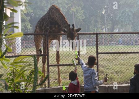 Lahore, Pakistan. 25 Dic 2020. Un gran numero di Christen si divertono allo zoo di Lahore dopo le preghiere di Natale durante le celebrazioni natalizie. La comunità cristiana in tutto il paese celebra il periodo festivo del `Natale' con l'avvento di dicembre. I cristiani hanno iniziato ad illuminare le loro case e chiese, mentre lo shopping natalizio è in pieno svolgimento in tutto il paese. (Foto di Rana Sajid Hussain/Pacific Press) Credit: Pacific Press Media Production Corp./Alamy Live News Foto Stock