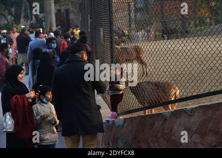 Lahore, Pakistan. 25 Dic 2020. Un gran numero di Christen si divertono allo zoo di Lahore dopo le preghiere di Natale durante le celebrazioni natalizie. La comunità cristiana in tutto il paese celebra il periodo festivo del `Natale' con l'avvento di dicembre. I cristiani hanno iniziato ad illuminare le loro case e chiese, mentre lo shopping natalizio è in pieno svolgimento in tutto il paese. (Foto di Rana Sajid Hussain/Pacific Press) Credit: Pacific Press Media Production Corp./Alamy Live News Foto Stock