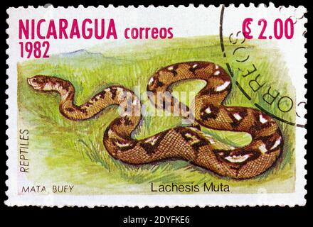 MOSCA, RUSSIA - 23 MARZO 2019: Francobollo stampato in Nicaragua mostra Bushmaster sudamericano (Lachesis muta), rettili serie, circa 1982 Foto Stock