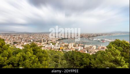 Vista panoramica della città di Palma di Maiorca con una foresta in primo piano e le nuvole in movimento. Concetto di viaggio Foto Stock