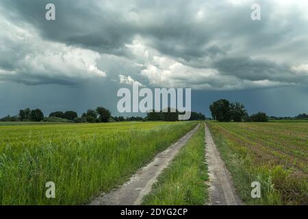 Strada sabbiosa attraverso campi verdi e cielo piovoso, giorno di primavera Foto Stock