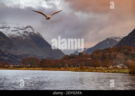 Dolbadarn Castello in inverno, Snowdonia, Galles del Nord Foto Stock