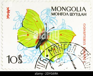 MOSCA, RUSSIA - 4 AGOSTO 2019: Francobollo stampato in Mongolia mostra Brimstone (Gonepteryx rhamni), Butterflies serie, circa 1963 Foto Stock