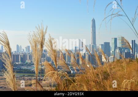 Skyline del centro di Shenzhen, Cina (quartiere centrale degli affari di Futian) visto da Lok ma Chau, Hong Kong (dicembre 2020) Foto Stock