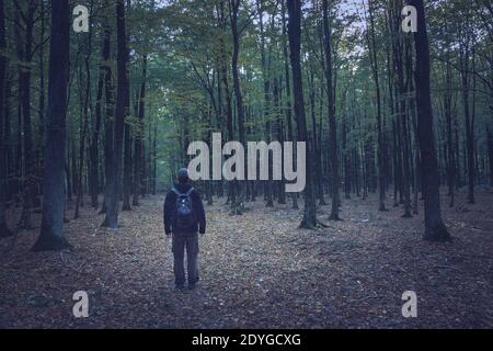 Un uomo in piedi su un sentiero in una foresta oscura, giorno d'autunno Foto Stock