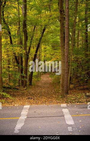 Trail attraversa la strada nella Foresta Verde a Cuyahoga Valley National Park Foto Stock