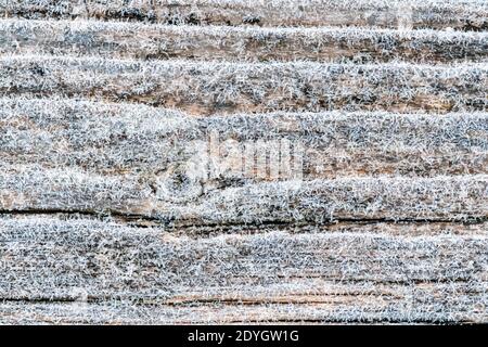 Primo gelo su una superficie di legno di pino nero sbiadito e fresco blu con tavole invecchiate allineate. Bellissimo microcosmo surgelato astratto Foto Stock