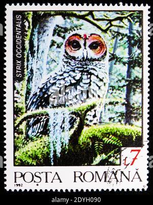 MOSCA, RUSSIA - 8 AGOSTO 2019: Francobollo stampato in Romania mostra Spotted Owl (Strix occidentalis), Fauna della serie della Regione del Nord, circa 19 Foto Stock