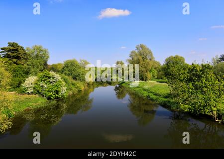 Vista estiva del fiume Nene, Ferry Meadows Country Park, Peterborough, Cambridgeshire, Inghilterra, Regno Unito Foto Stock