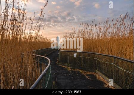 NEWPORT WETLANDS, RSPB Foto Stock