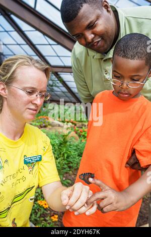 Huntsville Alabama, Giardino Botanico Butterfly House, figlio figlio ragazzo nero padre cercando donna guida donna in attesa aiutare, Foto Stock